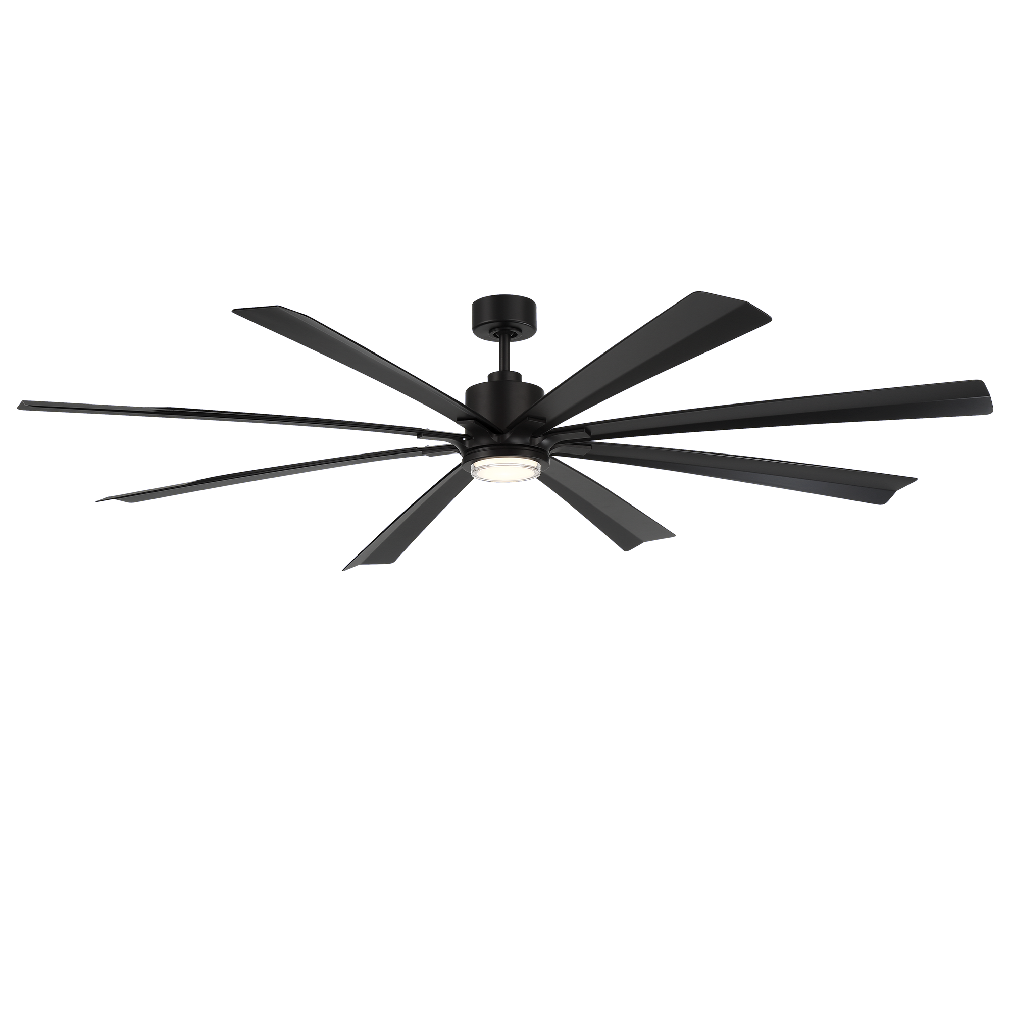 Size Matters 84 (With Luminaire)