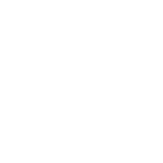damp